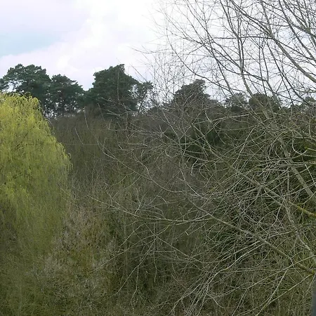 De La Foret