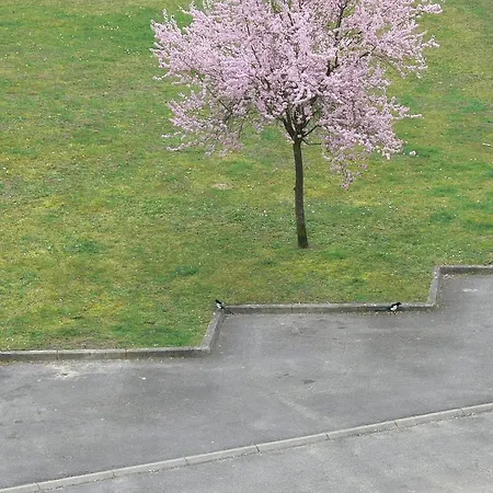 Lägenhet De La Foret