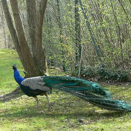 Lägenhet De La Foret